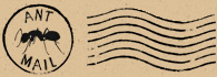 Ant Mail